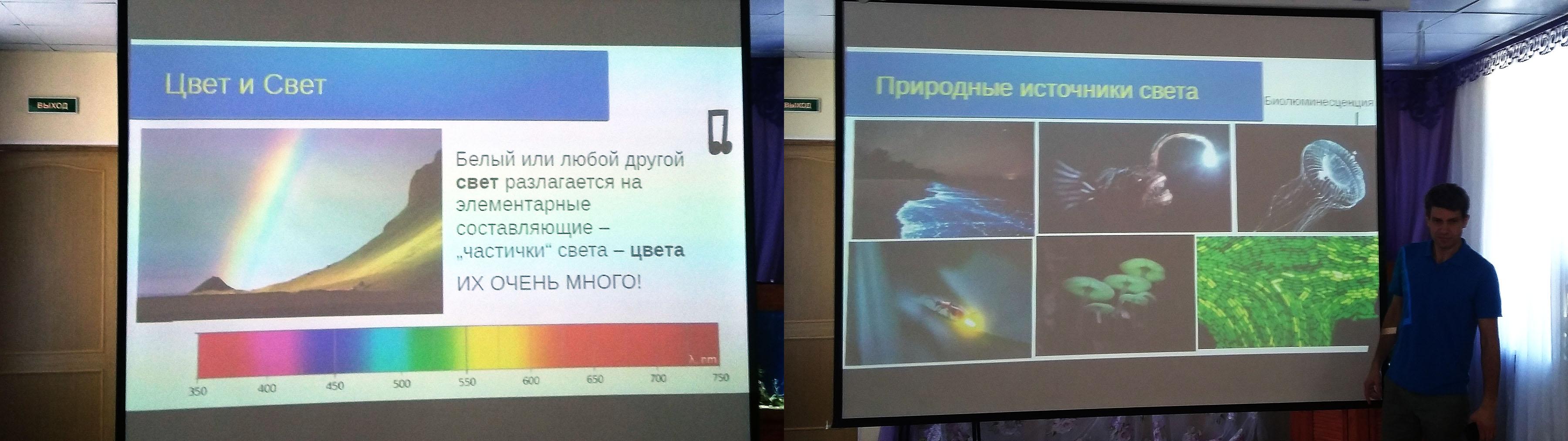 Подводный мир