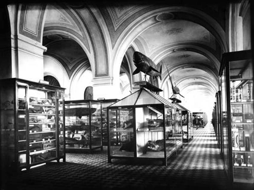 Экспозиция в новом здании