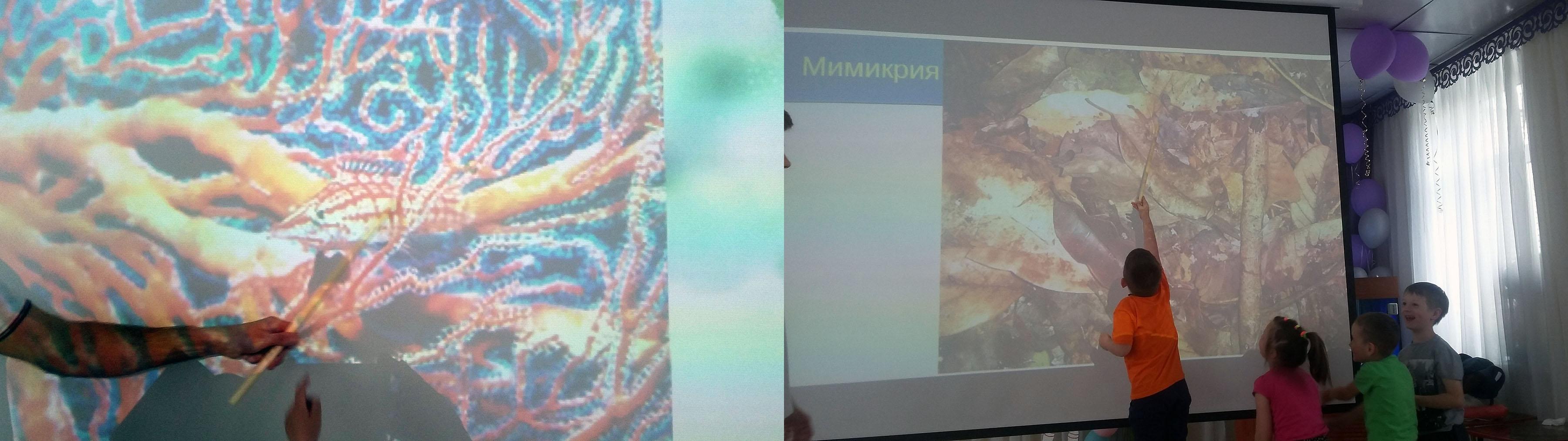 раскраска рыб похожая на камни в море