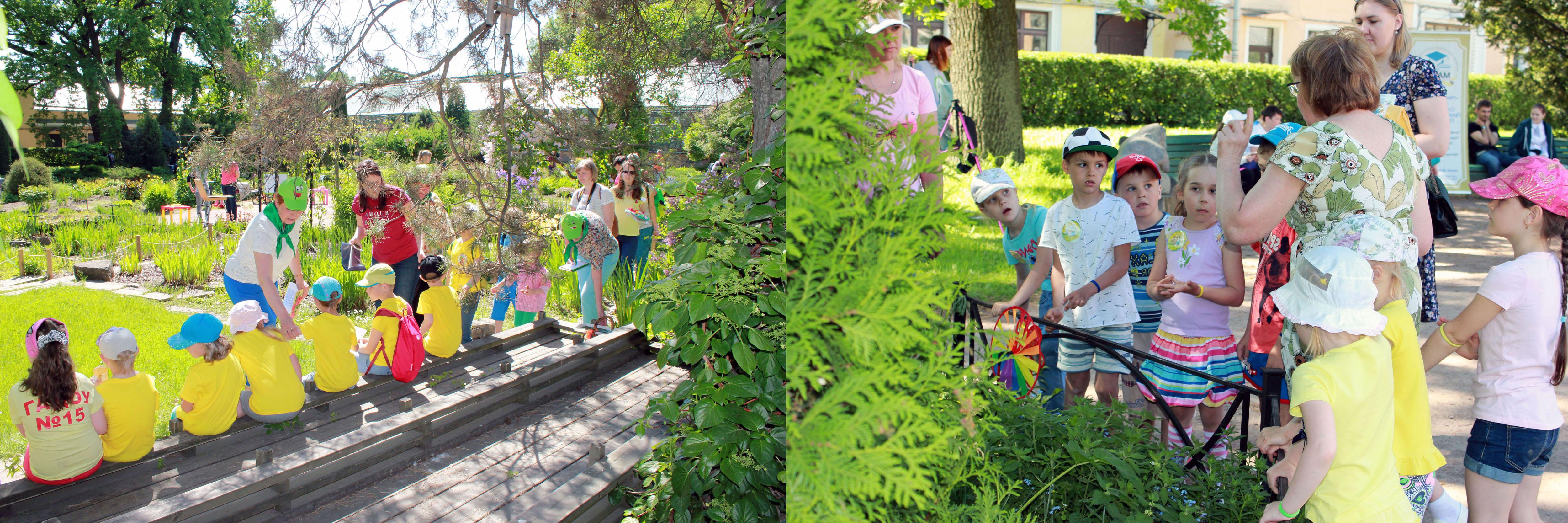 интерактивная площадка 2