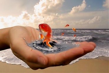 Семинар-практикум  «Море на ладони»