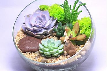 25 января 2024 состоится мастер-класс по компетенции "Юный фитодизайнер"