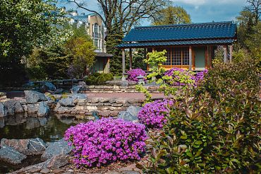 ПОСТ-РЕЛИЗ обучающего мастер-класса по компетенции «Юный ландшафтный дизайнер»